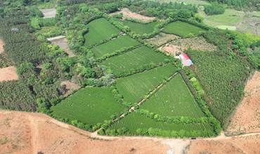 DJI_0379